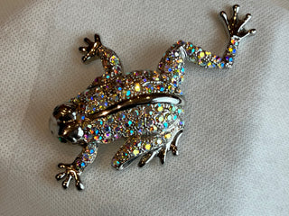 A Toad Brooch