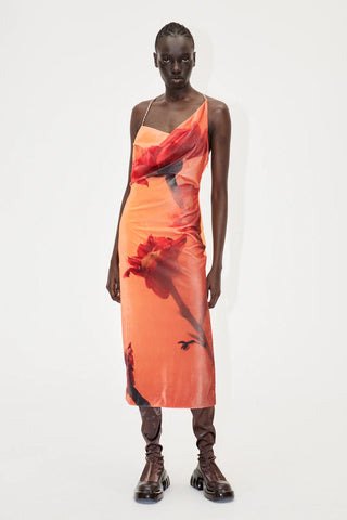 Stine Goya PROMISE DRESS  - FLOWERS GROWING UNDER ORANGE WATER