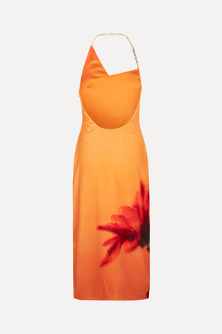 Stine Goya PROMISE DRESS  - FLOWERS GROWING UNDER ORANGE WATER